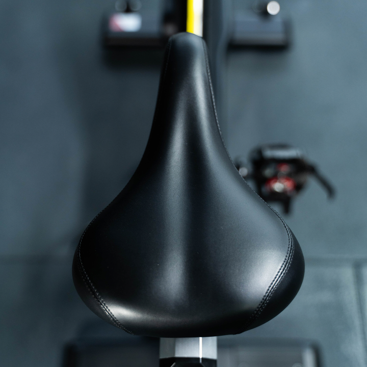 Vélo d'exercice professionnel R-22